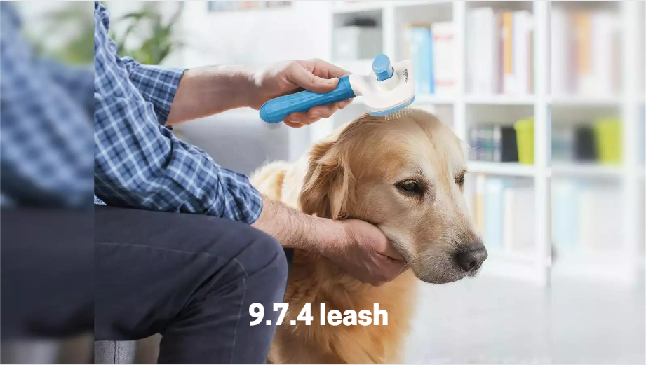 9.7.4 Leash