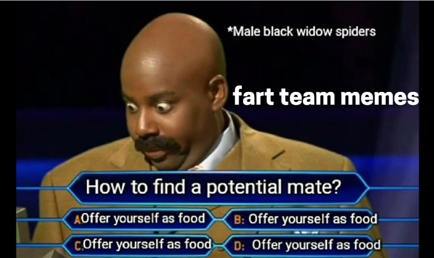 fart team memes