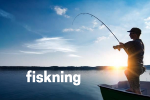 fiskning