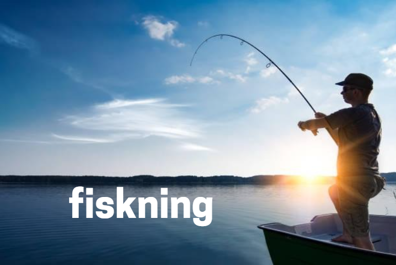 fiskning