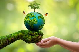 Environmental Law and Sustainability: Safeguarding Our Planet for Future Generations!