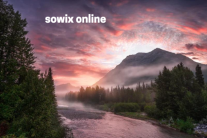 Sowix Online