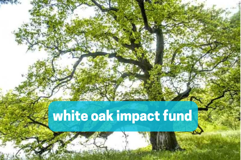 White Oak Impact Fund