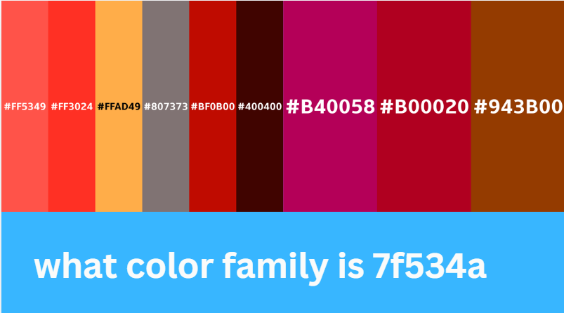 what color family is 7f534a