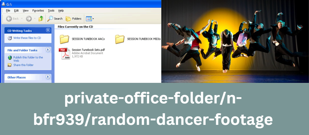 private-office-folder/n-bfr939/random-dancer-footage