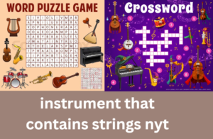 Instrument That Contains Strings NYT: Comprehensive Guide and Analysis