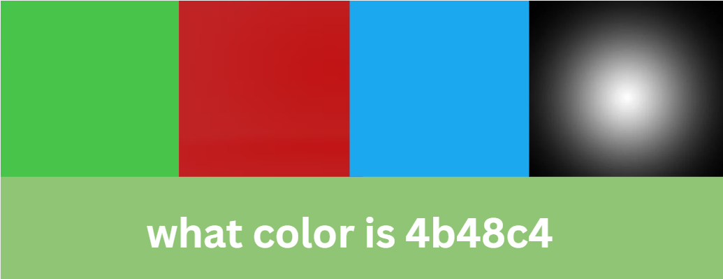 what color is 4b48c4