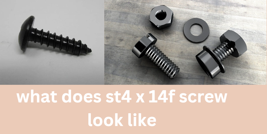 what does st4 x 14f screw look like