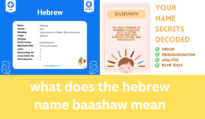 what does the hebrew name baashaw mean