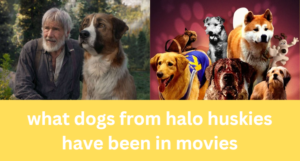 what dogs from halo huskies have been in movies