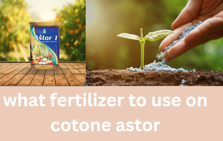 what fertilizer to use on cotone astor