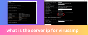 What is the Server IP for VirusSMP?