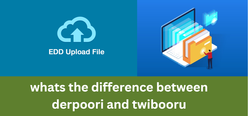 whats the difference between derpoori and twibooru